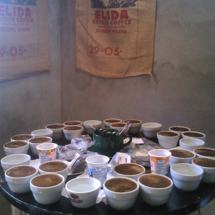 11059532_1161305623885616_5851865453460622291_n