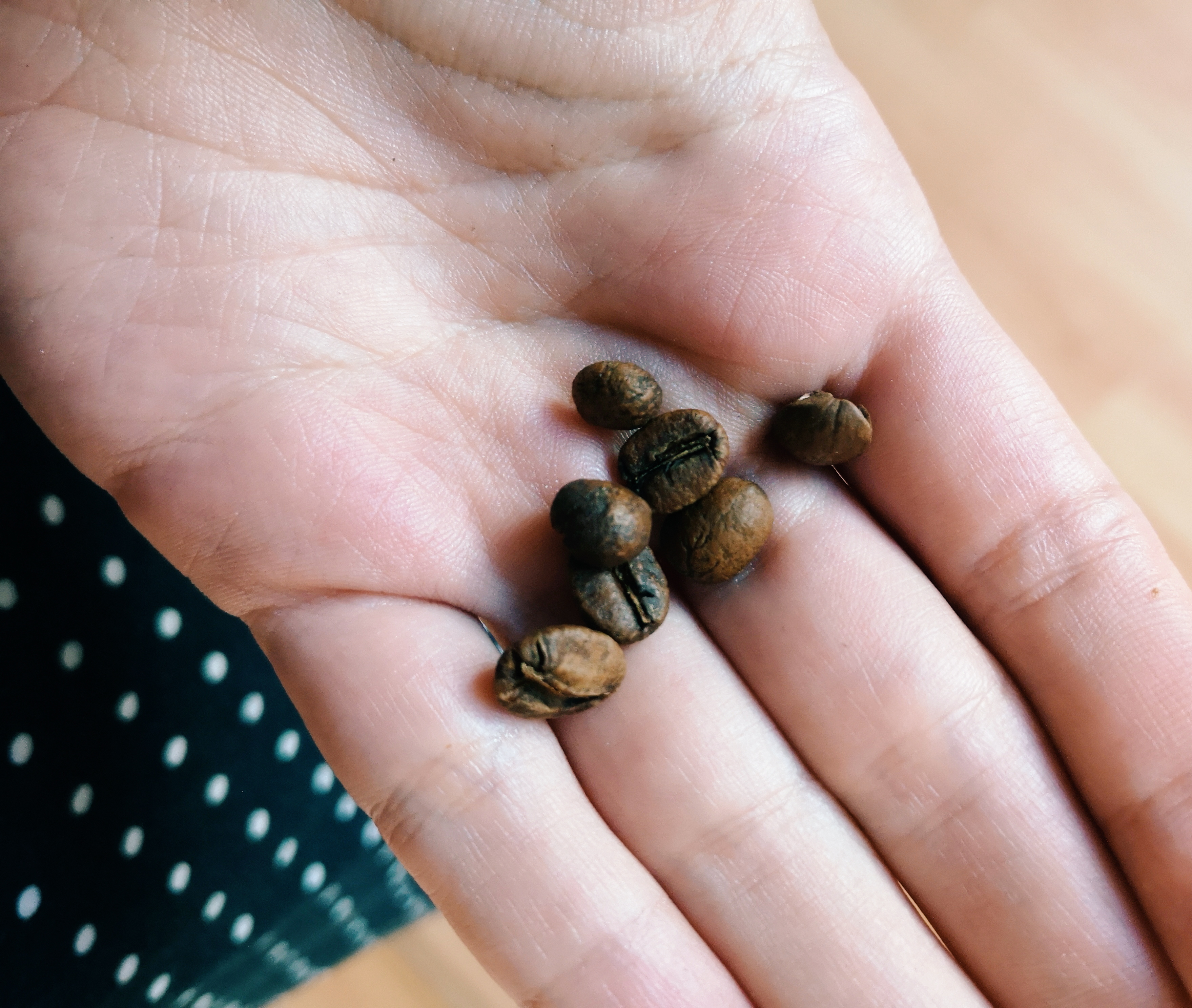 freshly roasted coffee beans