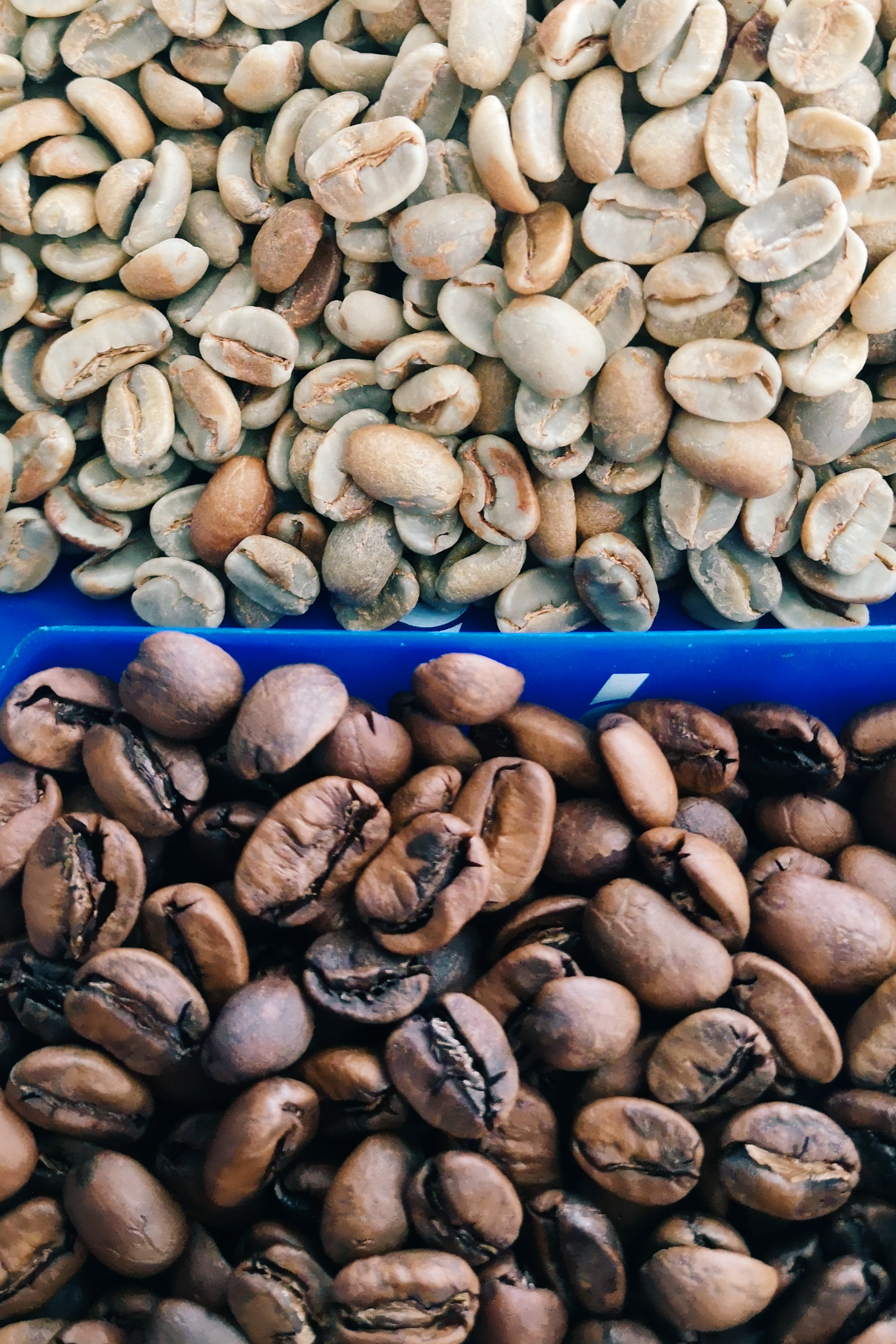 roasted coffee vs green coffee